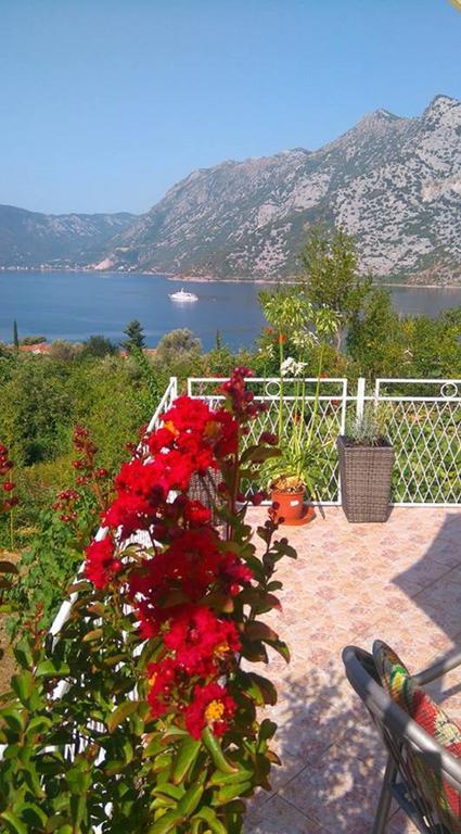 Apartment Rose Garden Risan Εξωτερικό φωτογραφία
