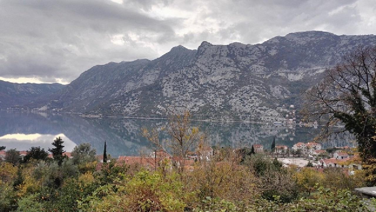 Apartment Rose Garden Risan Εξωτερικό φωτογραφία