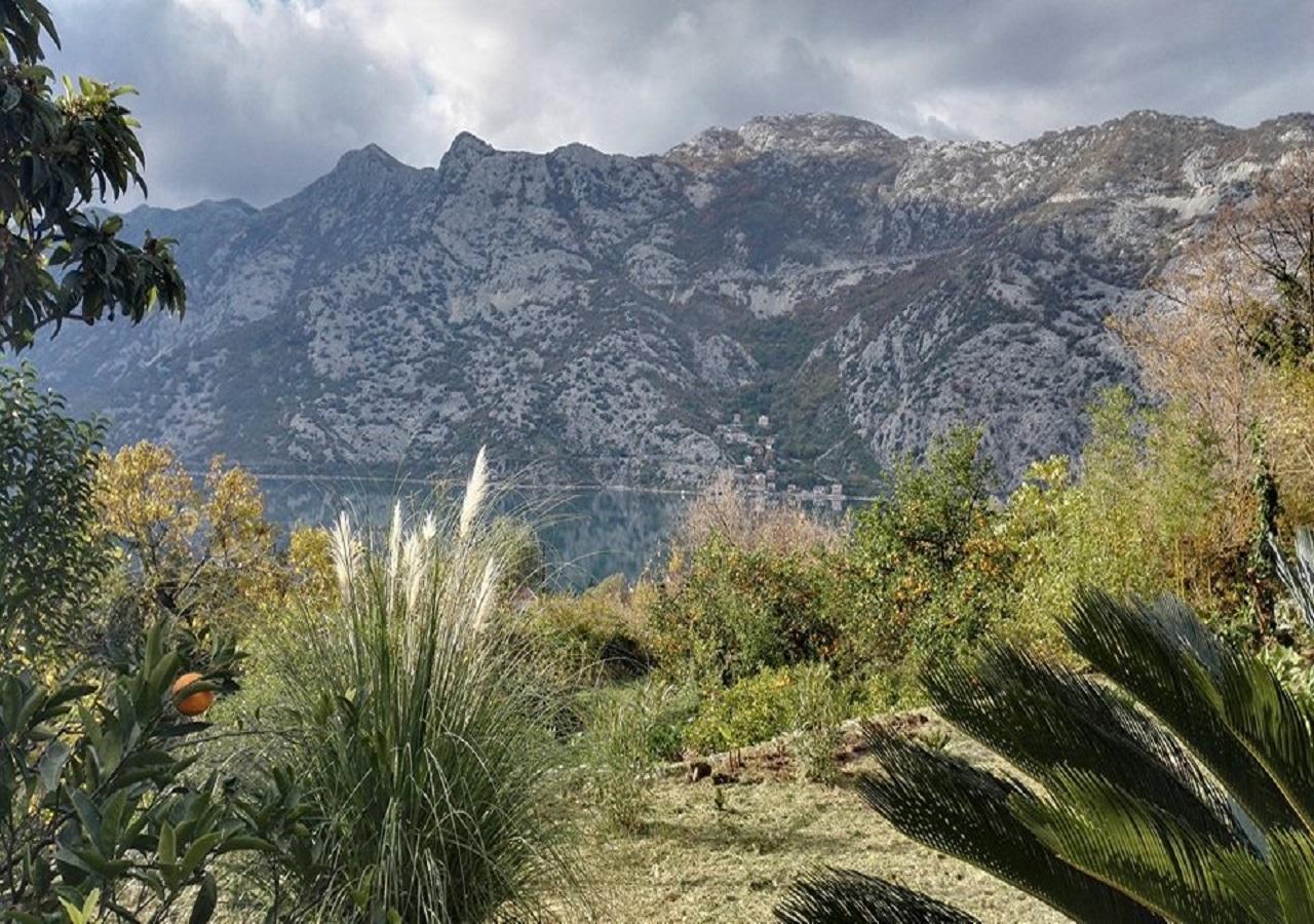 Apartment Rose Garden Risan Εξωτερικό φωτογραφία